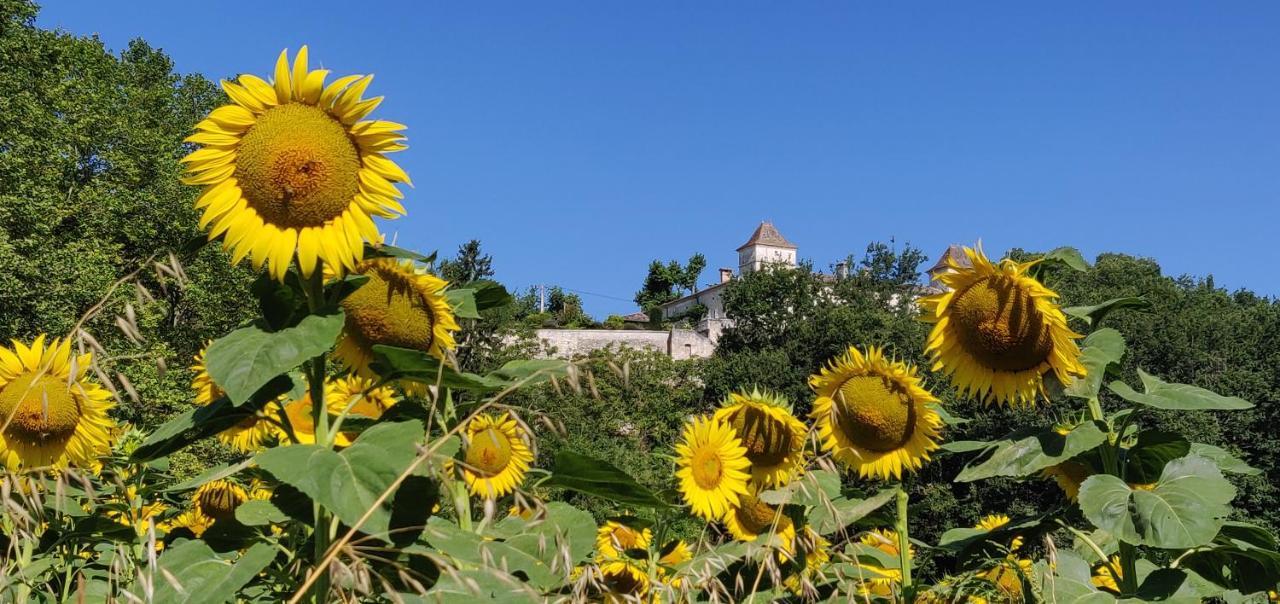 Manoir Le Bourg, Touffailles Villa Kültér fotó